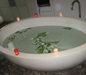 Sarojin Suite