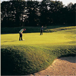 Belfry 7