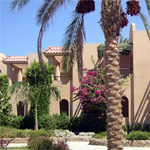 Ali Baba Palace 5