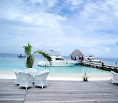 Vivanta By Taj - Coral Reef