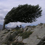 Corsica