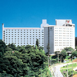 Nikko Narita_1