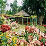 Krisdadoi Chiangmai Aprime Resort