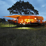 Serengeti Bushtops