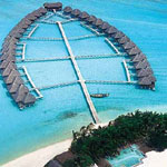 Taj Exotica
