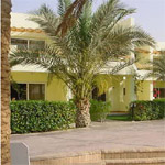 Palm Beach Eurotel 2