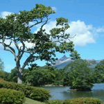 Japan_6