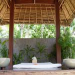 Twin Lotus Resort & Spa