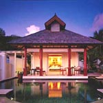 Banyan Tree