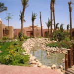 Nubian Island 10
