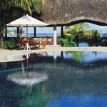 Royal Palm