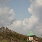 Boca Raton