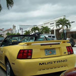 Palm Beach