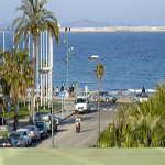 Palas Pineda