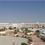 Melia Pharaoh 9