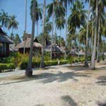 Phi Phi Island Village