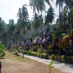 Phi Phi Island Village