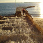 Juan Les Pins