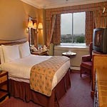 Copthorne Tara