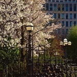 Four Seasons Hotel Canary Wharf