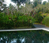 Four Seasons Resort Bali at Sayan