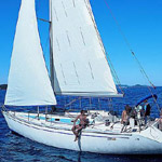 Elan 1