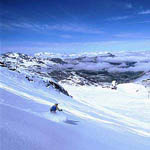 Chalet Altitude