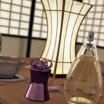 Japanese Tea Ceremony