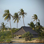 Kipungani