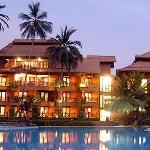 Royal Palm