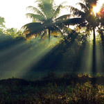 Moyo Island