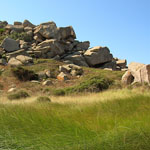 Corsica
