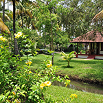 Coconut Lagoon