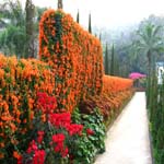 Krisdadoi Chiangmai Aprime Resort