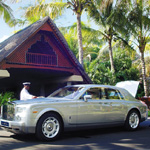 Royal Palm