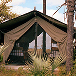 Jacks Camp
