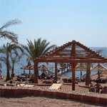 Tropicana Grand Oasis 8