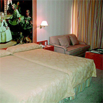 Husa Princesa 8