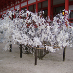 Mitsui Garden_6