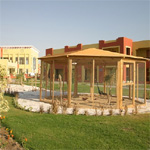 Tulip Resort 14