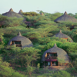 Serengeti Serena Safari
