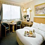 Copthorne Tara