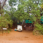 Pafuri Camp
