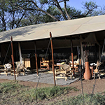 Dunia Camp