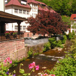 Schwarzewald
