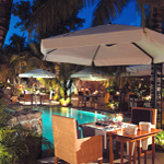 Royal Palm