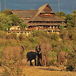 Victoria Falls