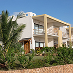 Gold Zanzibar