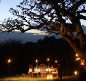Serengeti