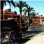 Sofitel Old Cataract Aswan 5
